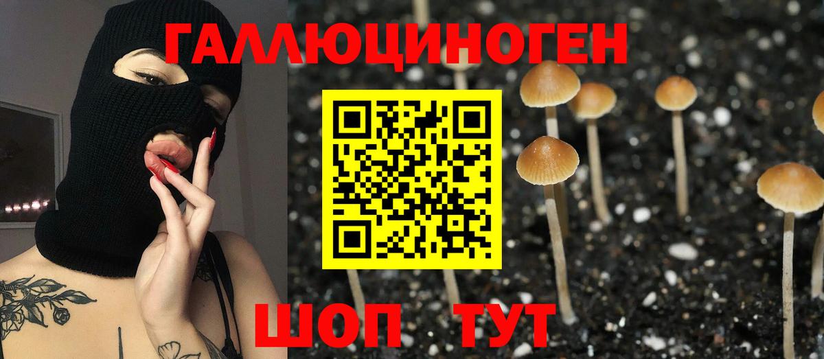 Новороссийск  Псилоцибиновые грибы Magic Shrooms  Вход с VPN  Псилоцибиновые грибы Cubensis 
