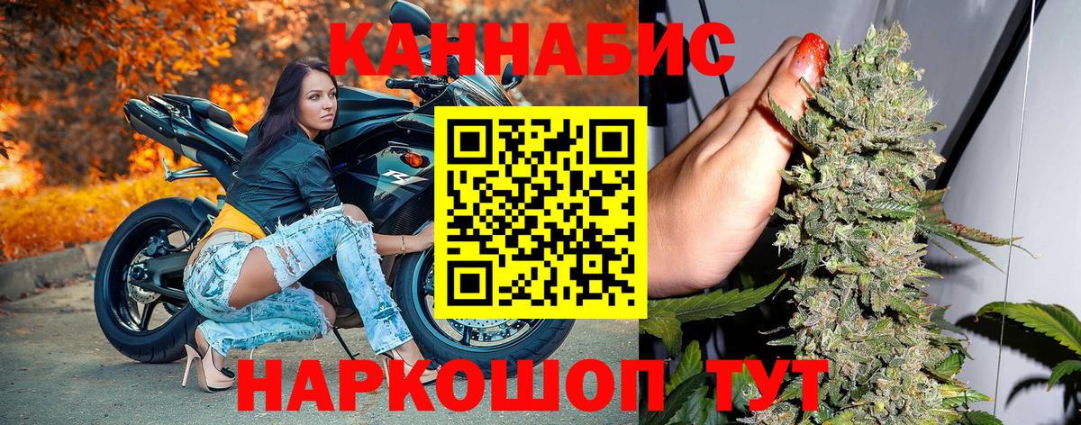 Марихуана планчик  Марихуана планчик  Новороссийск  Вход с VPN  Марихуана Bruce Banner 